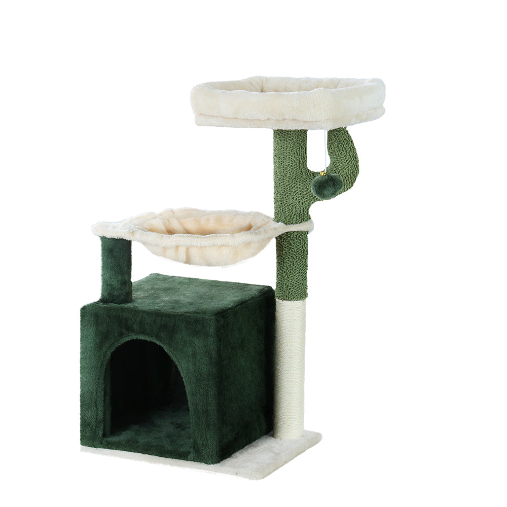 PET-CAT-APS013-GN-48890-00.jpg