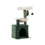 PET-CAT-APS013-GN-48890-02.jpg
