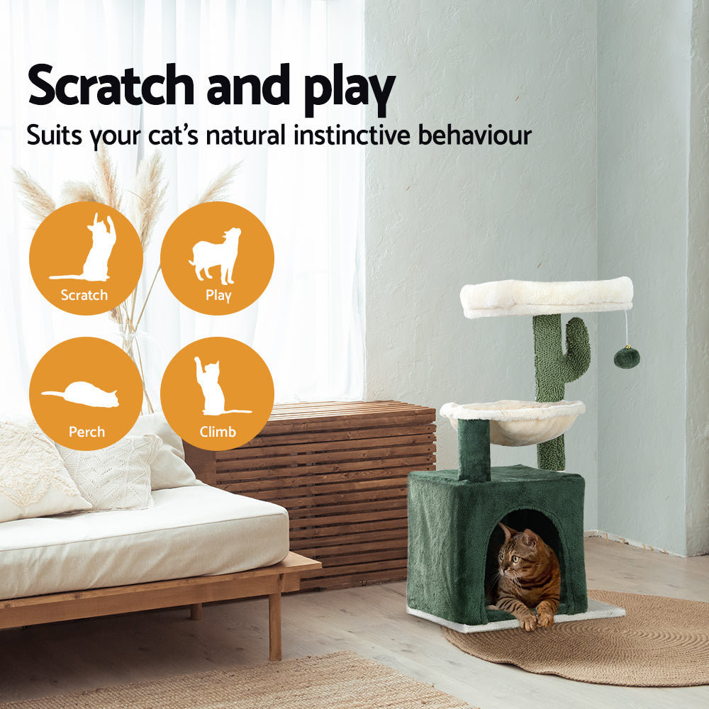 PET-CAT-APS013-GN-48890-03.jpg