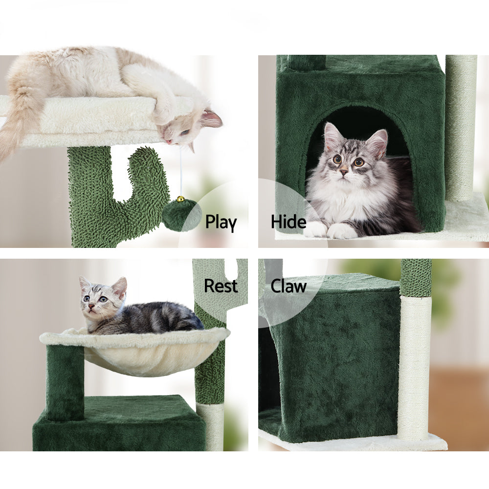 PET-CAT-APS013-GN-48890-05.jpg
