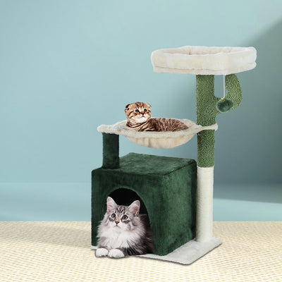 PET-CAT-APS013-GN-48890-06.jpg