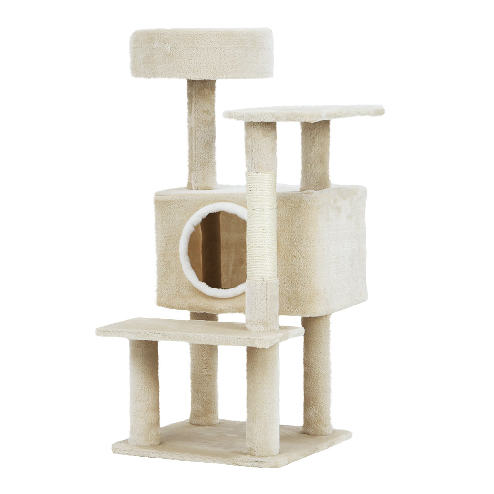 PET-CAT-APS014-BE-48891-00.jpg