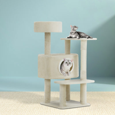 PET-CAT-APS014-BE-48891-06.jpg