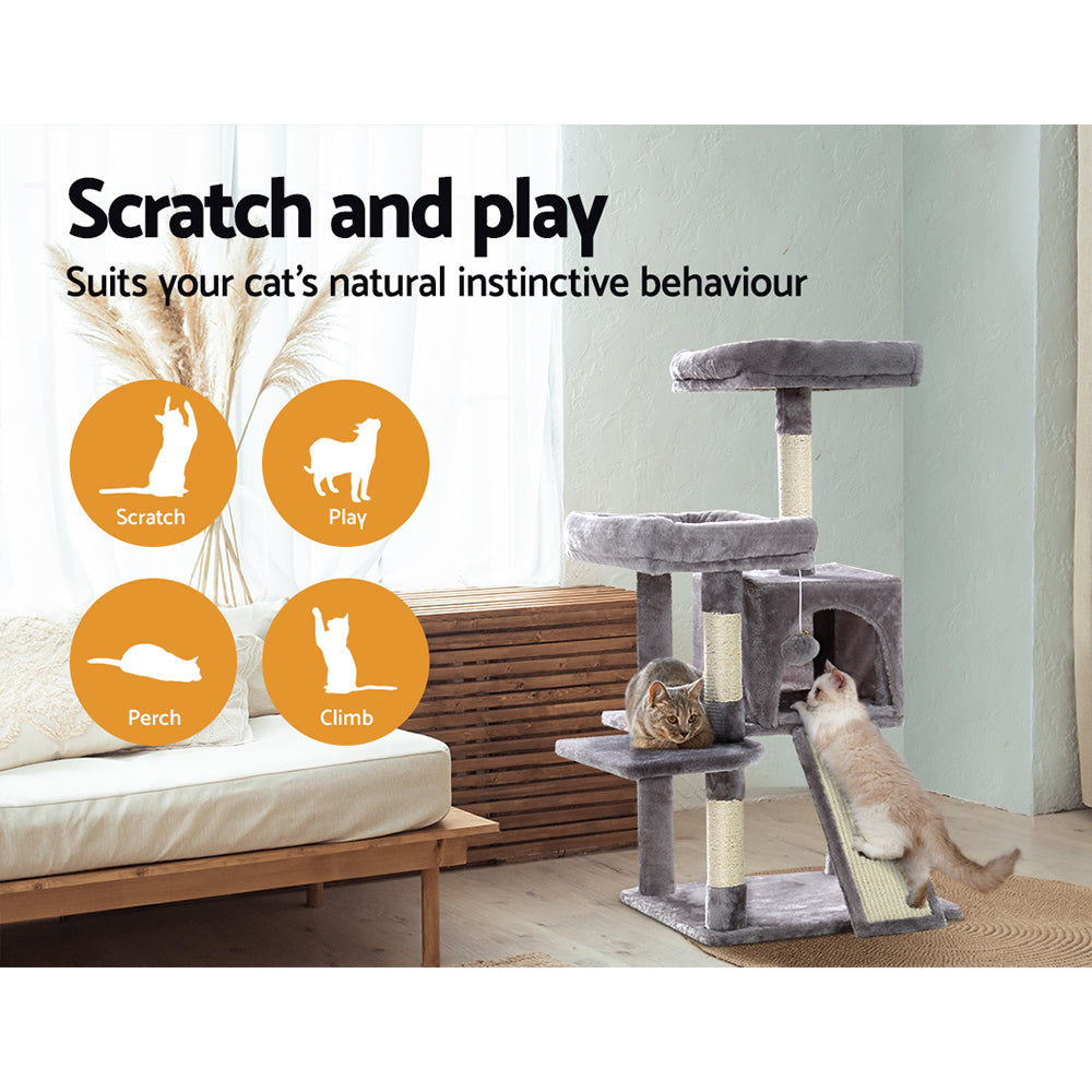 PET-CAT-APS018-GR-49354-03.jpg