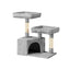PET-CAT-APS019-GR-48892-00.jpg