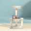 PET-CAT-APS02-BE-49352-06.jpg