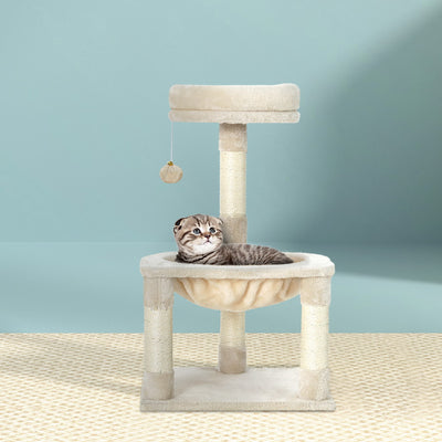PET-CAT-APS02-BE-49352-06.jpg