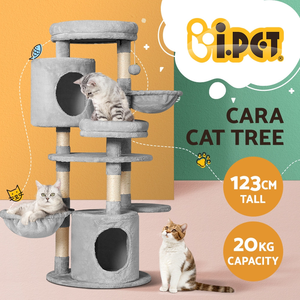 PET-CAT-APS020-GR-48893-02.jpg