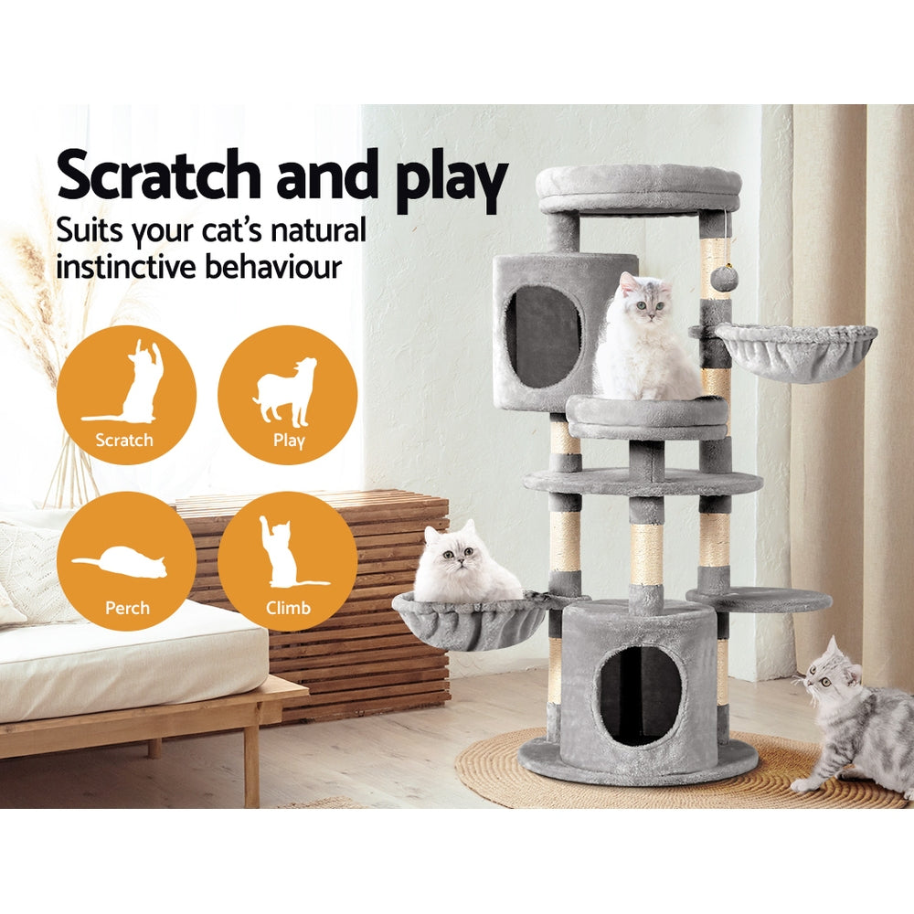 PET-CAT-APS020-GR-48893-03.jpg
