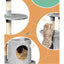 PET-CAT-APS020-GR-48893-05.jpg