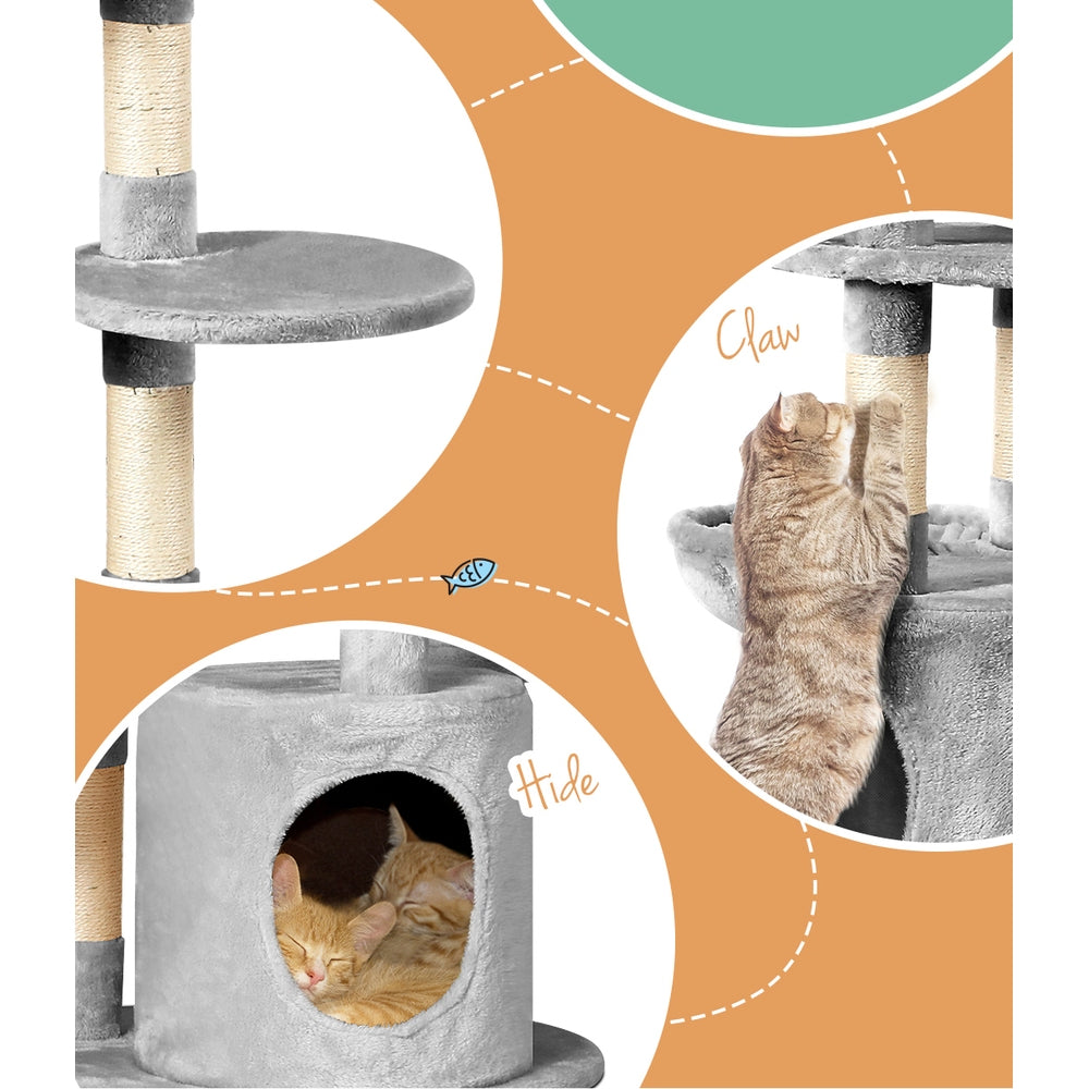 PET-CAT-APS020-GR-48893-05.jpg