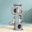 PET-CAT-APS020-GR-48893-07.jpg