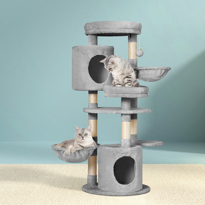 PET-CAT-APS020-GR-48893-07.jpg