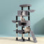 PET-CAT-APS021-GR-49426-06.jpg