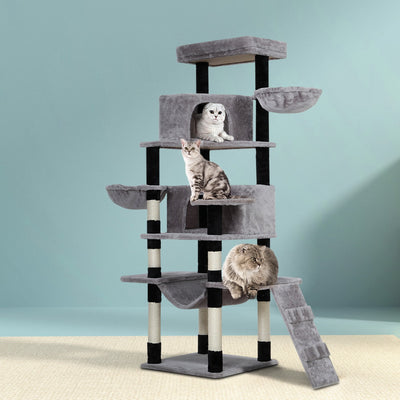 PET-CAT-APS021-GR-49426-06.jpg