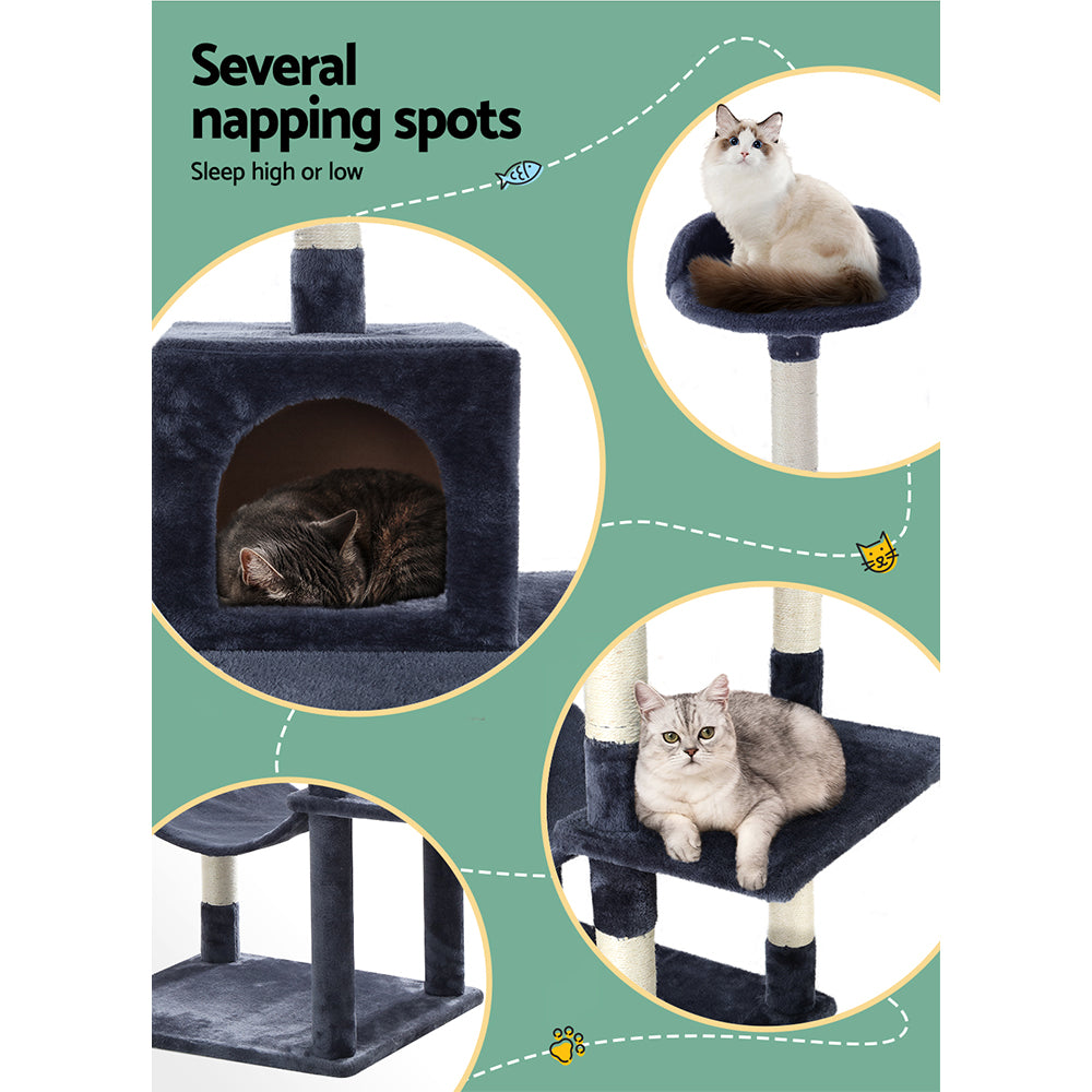 PET-CAT-APS04-GR-49353-04.jpg