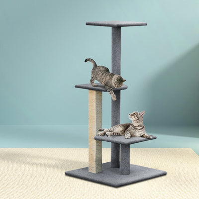 PET-CAT-CP001-GR-6370-07.jpg