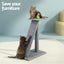 PET-CAT-CP002-GR-6366-03.jpg