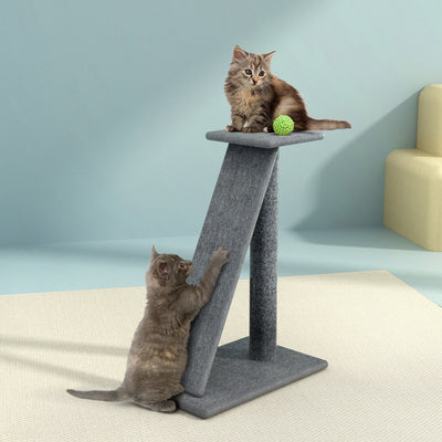 PET-CAT-CP002-GR-6366-07.jpg