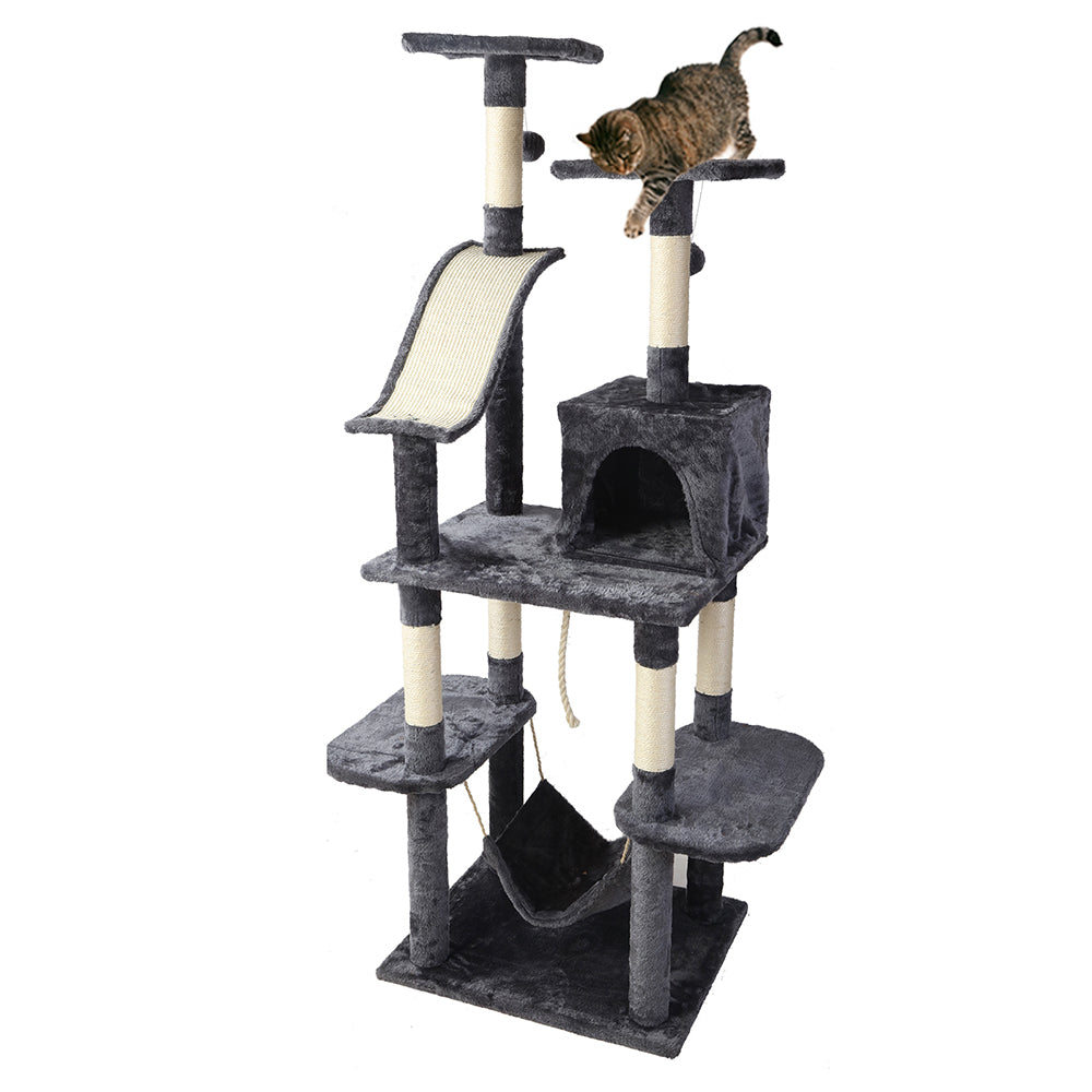 PET-CAT-FL010-GR-16825-00.jpg