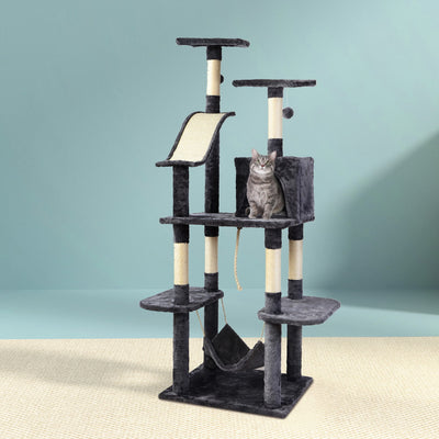 PET-CAT-FL010-GR-16825-07.jpg