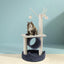 PET-CAT-FL024-GR-30812-07.jpg