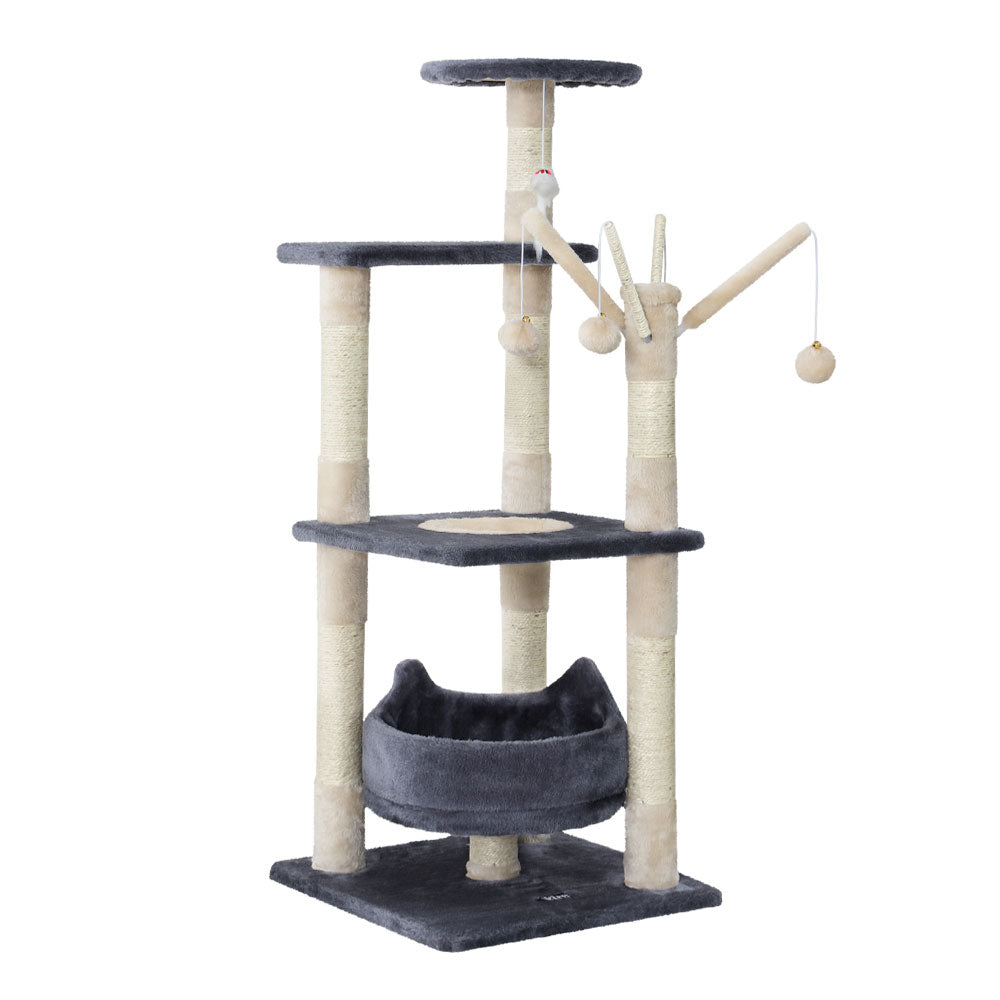PET-CAT-FL025-GR-35491-00.jpg
