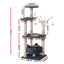PET-CAT-FL025-GR-35491-01.jpg