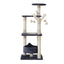 PET-CAT-FL025-GR-35491-02.jpg