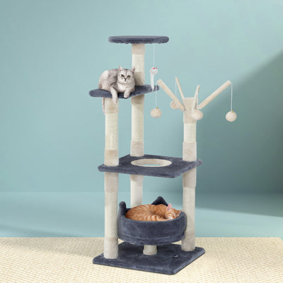 PET-CAT-FL025-GR-35491-06.jpg
