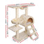 PET-CAT-HSCT003-BE-2224-01.jpg