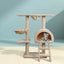 PET-CAT-HSCT003-BE-2224-07.jpg