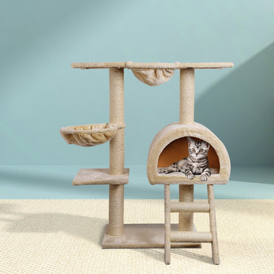 PET-CAT-HSCT003-BE-2224-07.jpg