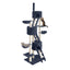 PET-CAT-HSCT015-GR-4986-00.jpg