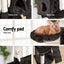 PET-CAT-HSCT018-GR-4259-06.jpg