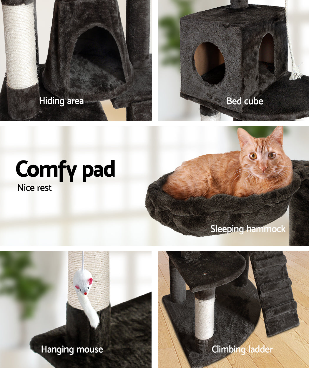 PET-CAT-HSCT018-GR-4259-06.jpg