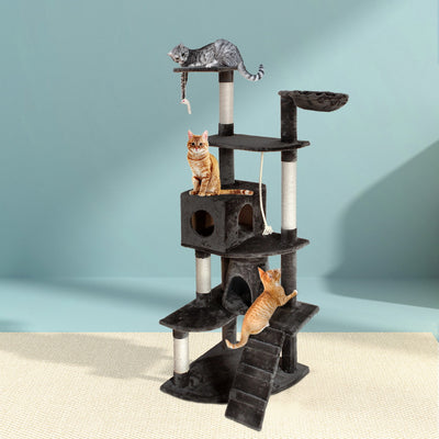 PET-CAT-HSCT018-GR-4259-07.jpg