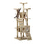 PET-CAT-HSCT076-180-BE-8323-00.jpg