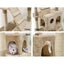 PET-CAT-HSCT076-180-BE-8323-05.jpg