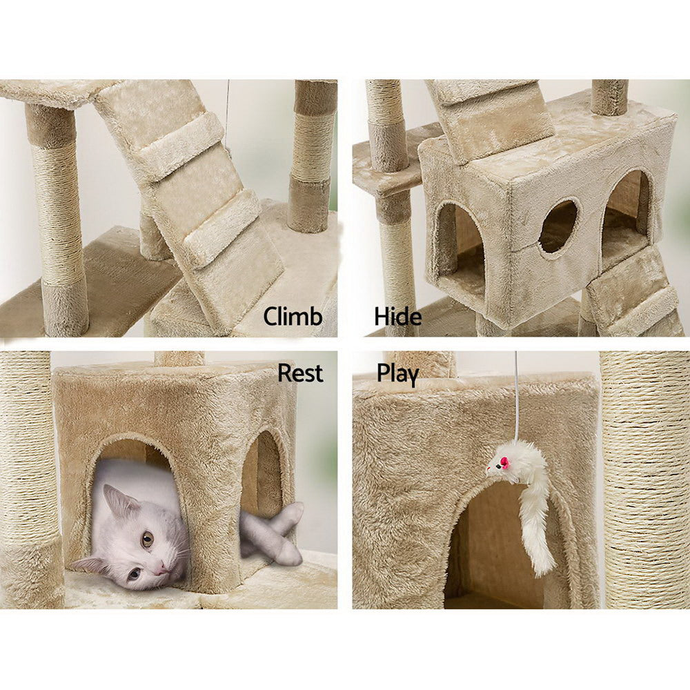 PET-CAT-HSCT076-180-BE-8323-05.jpg