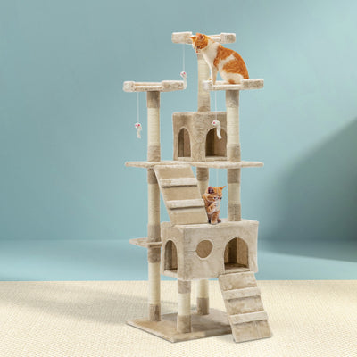 PET-CAT-HSCT076-180-BE-8323-07.jpg