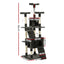PET-CAT-HSCT076-180-GR-8325-01.jpg