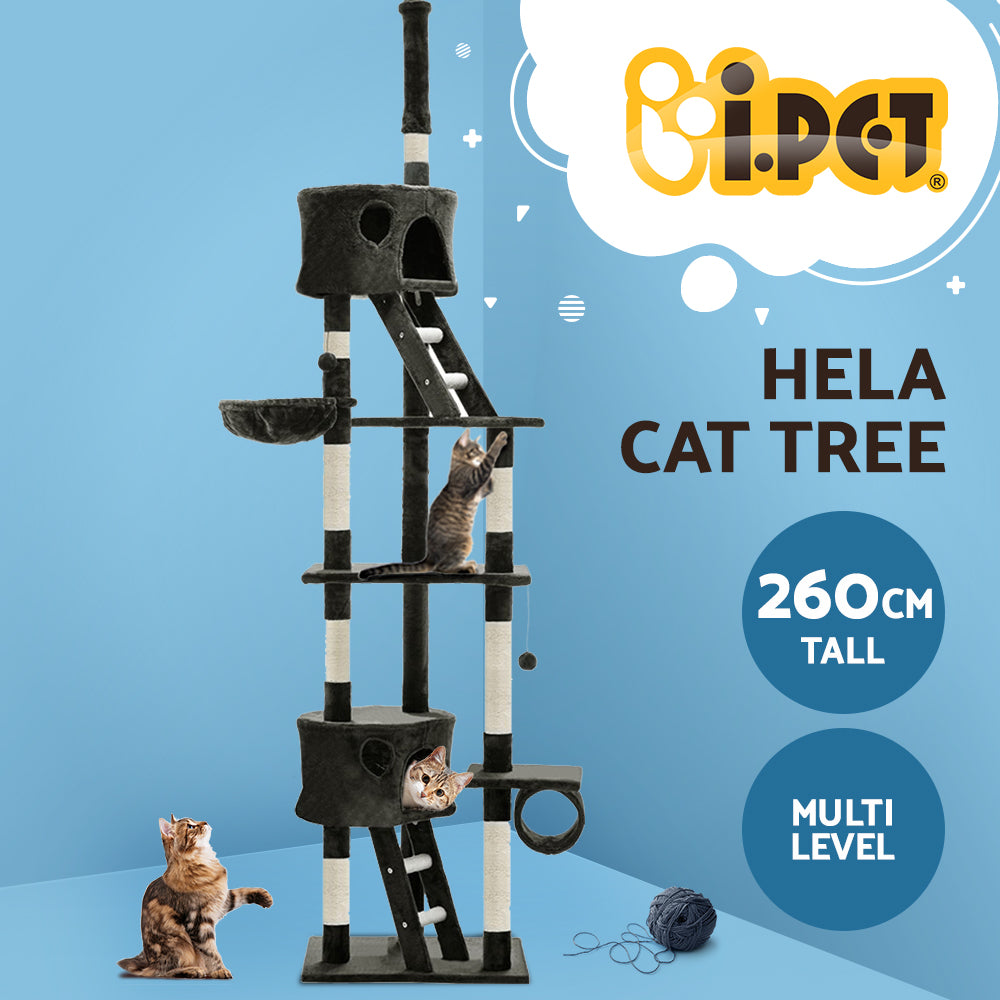 PET-CAT-HSCT260-GR-8319-02.jpg