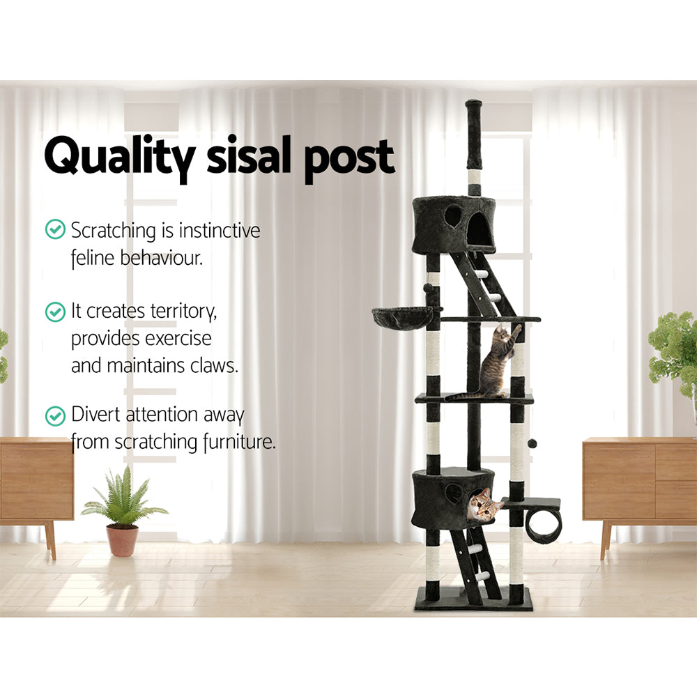 PET-CAT-HSCT260-GR-8319-03.jpg
