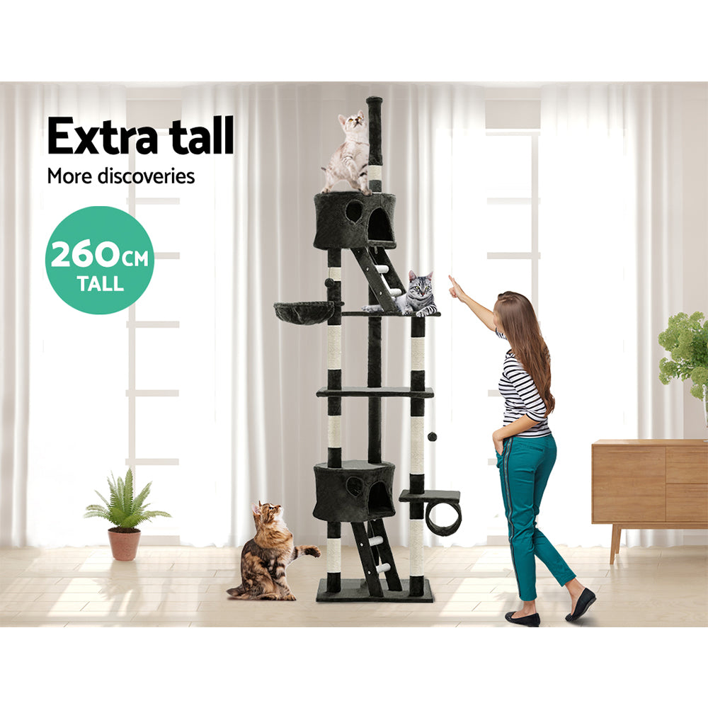 PET-CAT-HSCT260-GR-8319-04.jpg