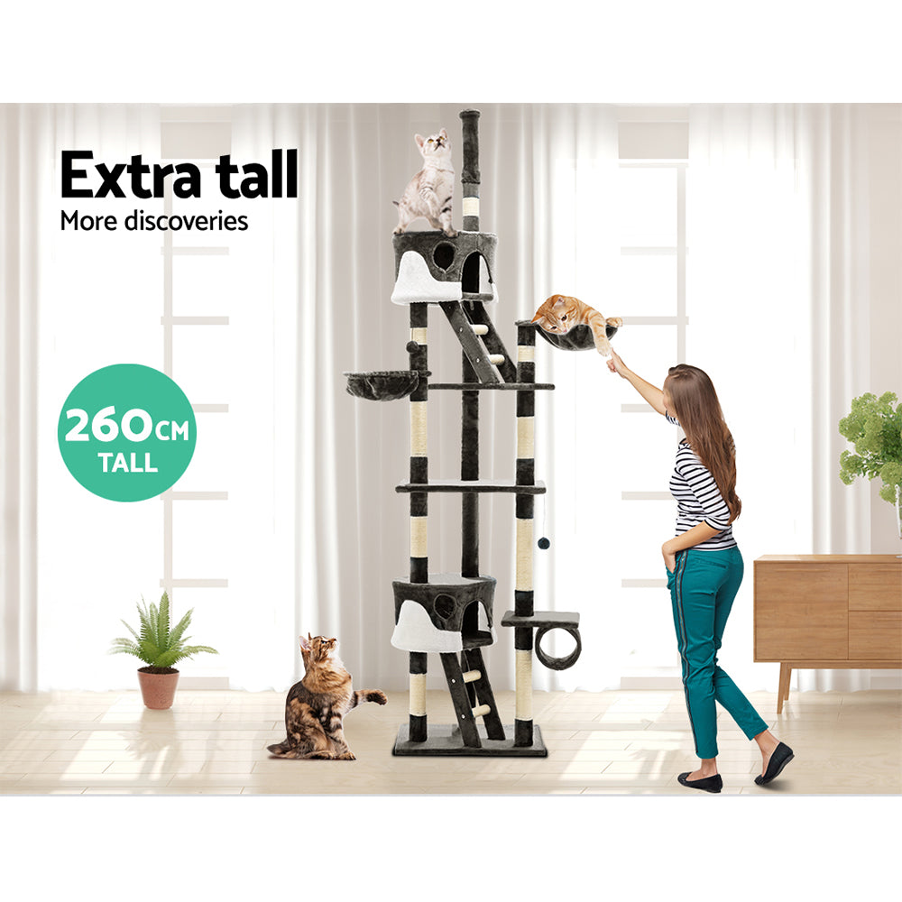 PET-CAT-HSCT260-GR-8319-06.jpg