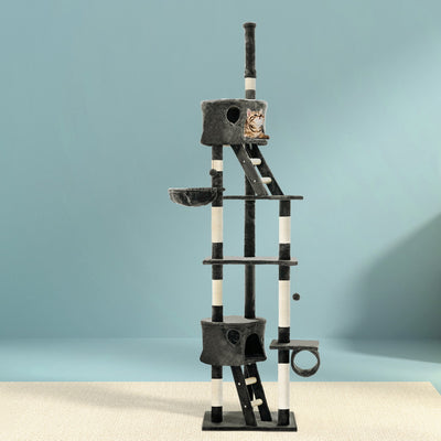 PET-CAT-HSCT260-GR-8319-07.jpg