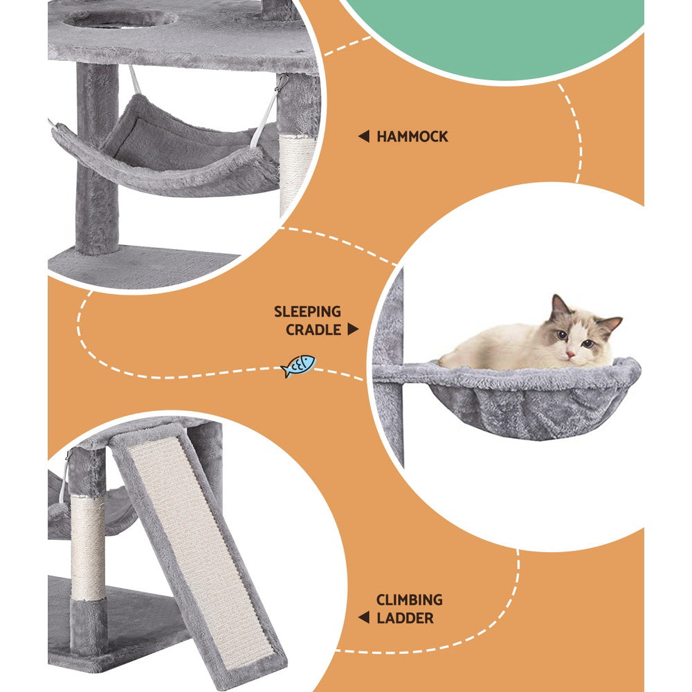 PET-CAT-L161-GR-139414-04.jpg