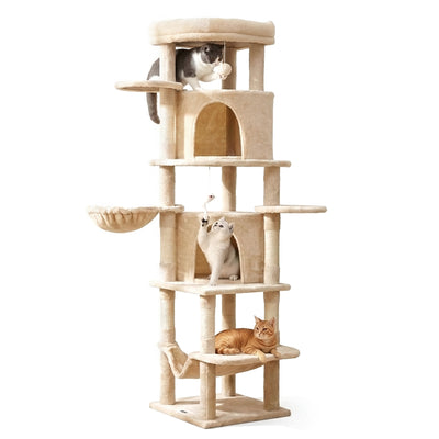 PET-CAT-L167-BG-202601271828-00.jpg