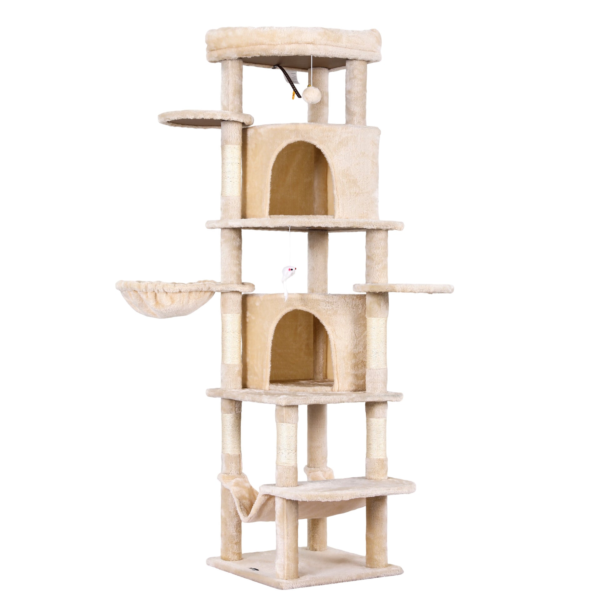 PET-CAT-L167-BG-202601271828-01.jpg